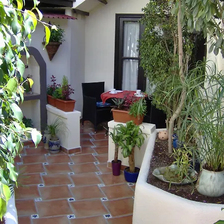Rustic With Small Patio-terrace Apartamento Icod De Los Vinos