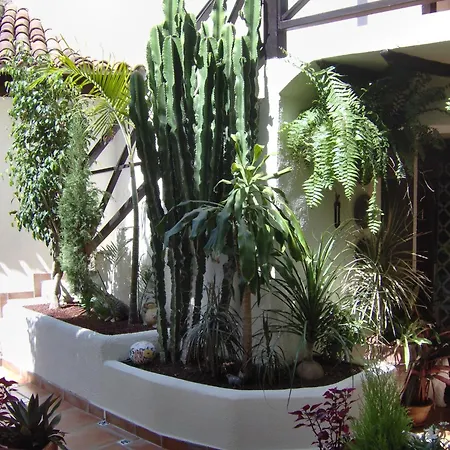 Rustic With Small Patio-terrace