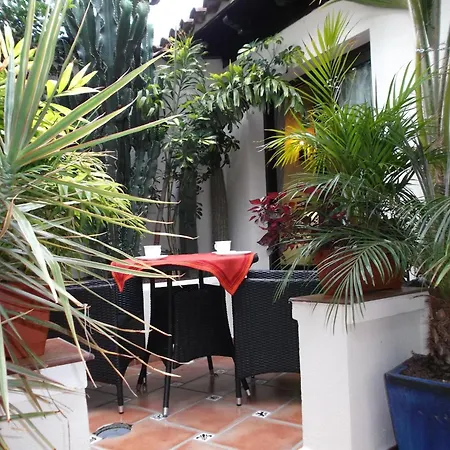 Apartamento Rustic With Small Patio-terrace Icod De Los Vinos