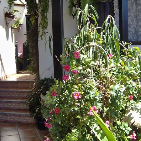 Apartment Rustic With Small Patio-terrace Icod De Los Vinos