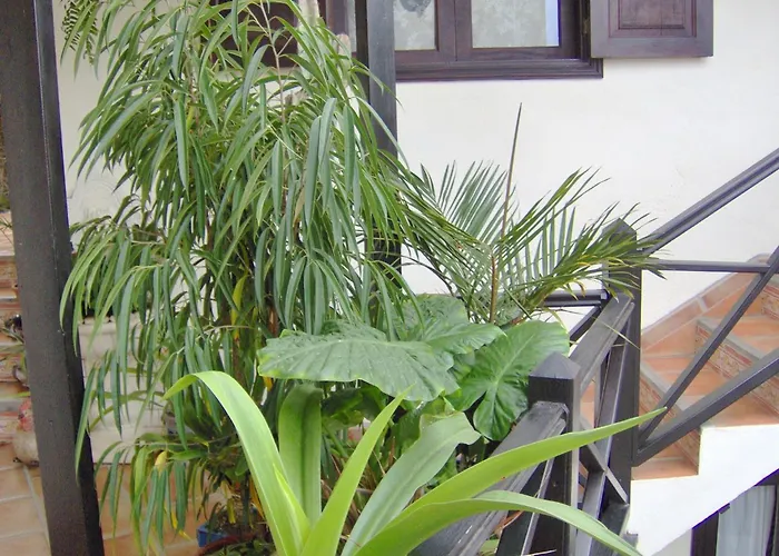 شقة Rustic With Small Patio-terrace *