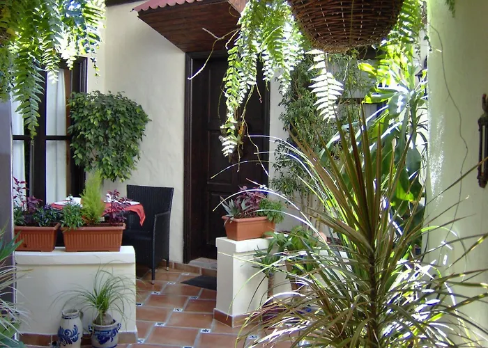 Rustic With Small Patio-terrace * إيكود ذي لوس فينوس