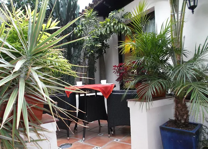 شقة Rustic With Small Patio-terrace إيكود ذي لوس فينوس