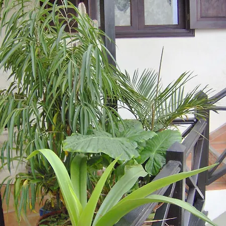 Apartamento Rustic With Small Patio-terrace *