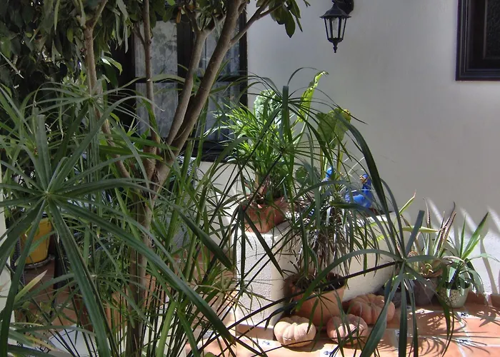 Appartement Rustic With Small Patio-terrace Icod De Los Vinos