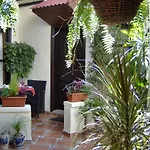 Rustic With Small Patio-terrace * Icod De Los Vinos