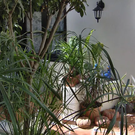 Apartament Rustic With Small Patio-terrace Icod De Los Vinos