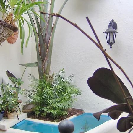 Rustic With Small Patio-terrace إيكود ذي لوس فينوس