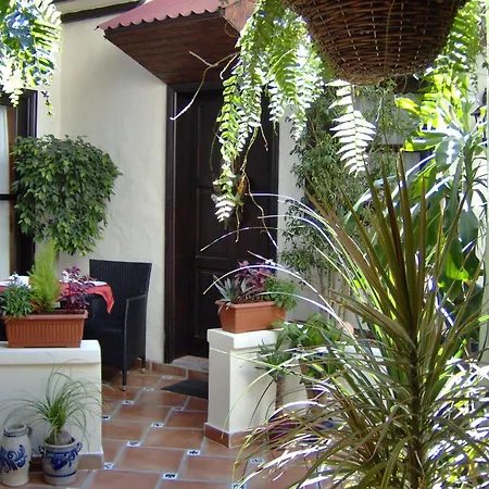 Rustic With Small Patio-terrace * إيكود ذي لوس فينوس