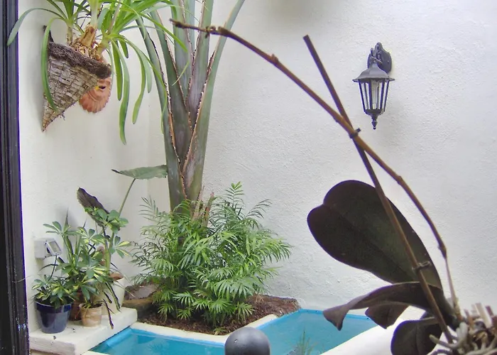 Rustic With Small Patio-terrace Icod De Los Vinos