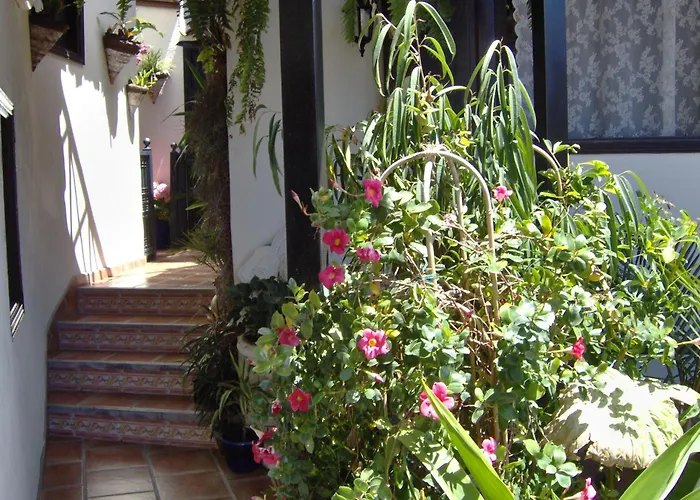 Apartament Rustic With Small Patio-terrace Icod De Los Vinos