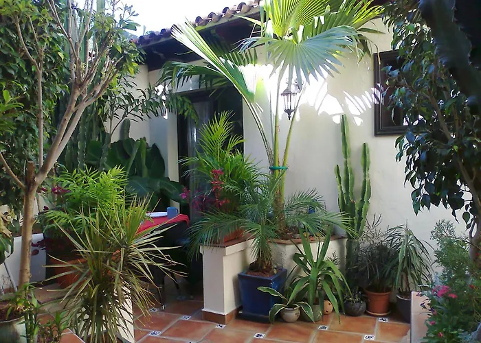 Rustic With Small Patio-terrace Apartament